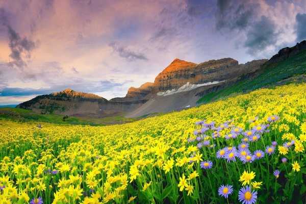 Mussoorie car rental and hill taxi